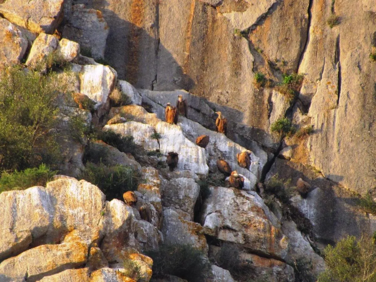 Casa Rural La teja  Villa El Chorro Сasa de vacaciones